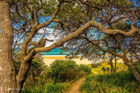 Valla's Beach House - Dalby Accommodation 2