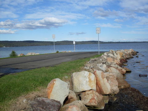 Bush & Bay Cottage - Dalby Accommodation 5