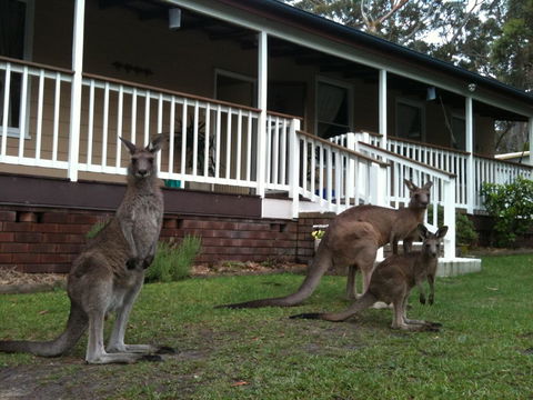 Bush & Bay Cottage - Dalby Accommodation 30