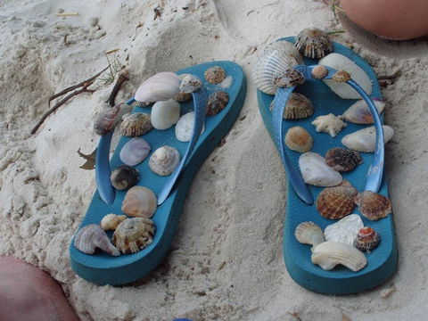 Bush & Bay Cottage - Dalby Accommodation 27