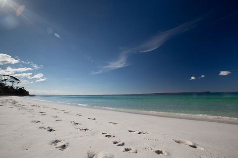 Bush & Bay Cottage - Dalby Accommodation 24