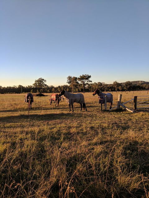 Madigan Wine Country Cottages - Dalby Accommodation 8