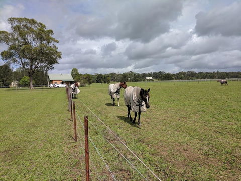 Madigan Wine Country Cottages - Dalby Accommodation 9