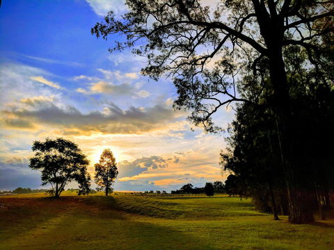 Madigan Wine Country Cottages - Dalby Accommodation 11