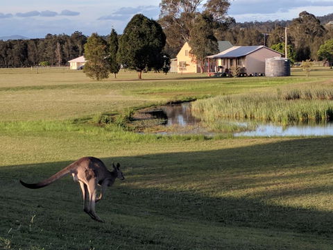 Madigan Wine Country Cottages - Dalby Accommodation 6