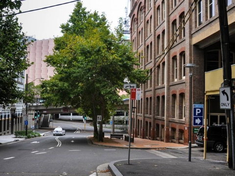 Classic 2 BR Apt In Pyrmont - Dalby Accommodation 23