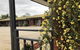 Federation Motel Resort - Corowa - thumb 16