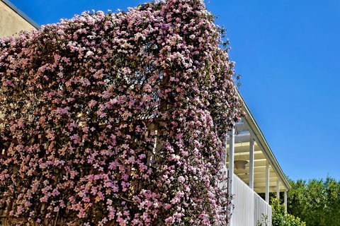 Bundanoon Lodge - Dalby Accommodation 13