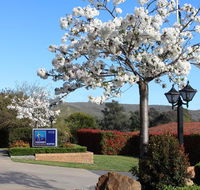 Hume Country Motor Inn - Dalby Accommodation