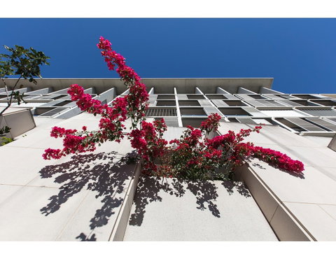 Walk To The Convention Centre, Casino, City - Dalby Accommodation 1