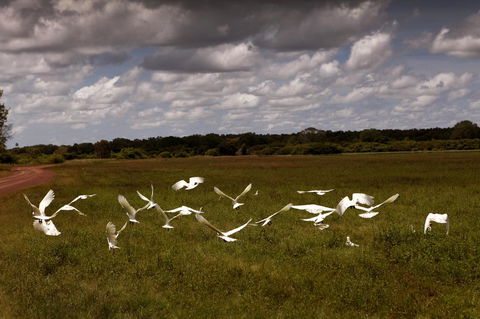 Wildman Wilderness Lodge - Dalby Accommodation 20