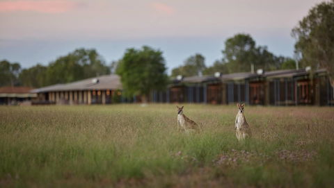 Wildman Wilderness Lodge - Dalby Accommodation 0