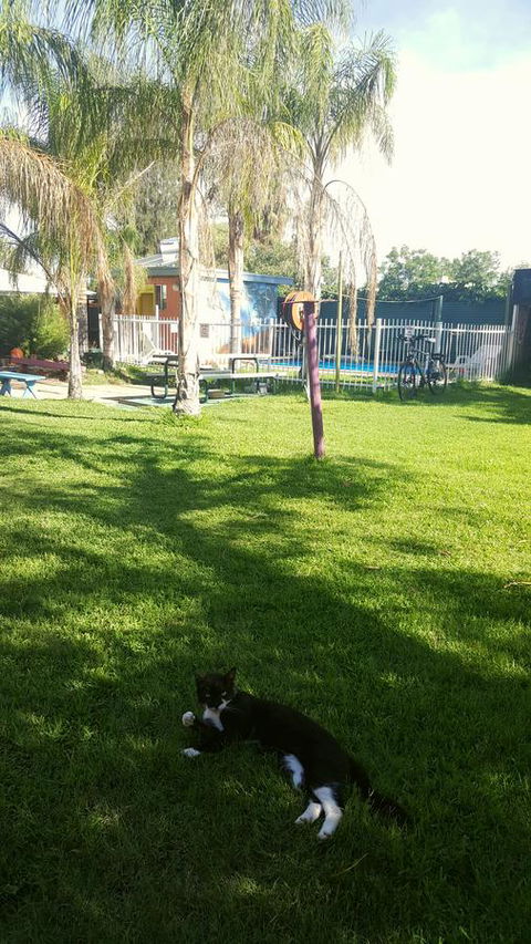 Alice Lodge - Dalby Accommodation 26