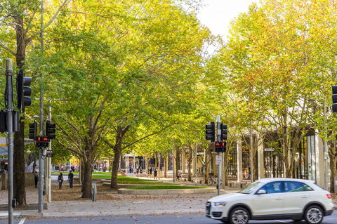 Highgate Executive Apartment City Walk Canberra - Dalby Accommodation 37