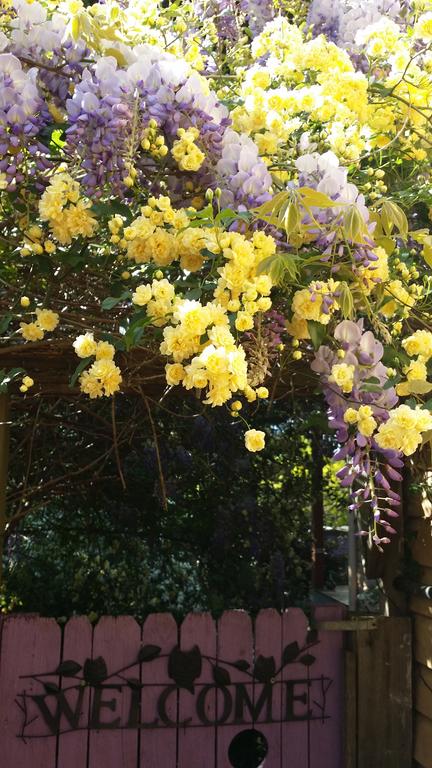 Bowral Road Bed And Breakfast - Dalby Accommodation 0