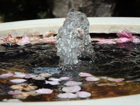 Bowral Road Bed And Breakfast - Dalby Accommodation 2
