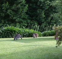 Bundanoon 2578 - Dalby Accommodation
