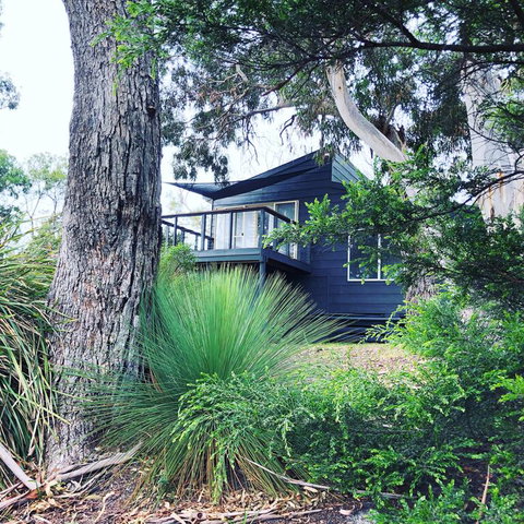 Bush Hideaway By The Beach - Dalby Accommodation 3