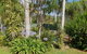 Byron Hinterland Hideaway - thumb 0
