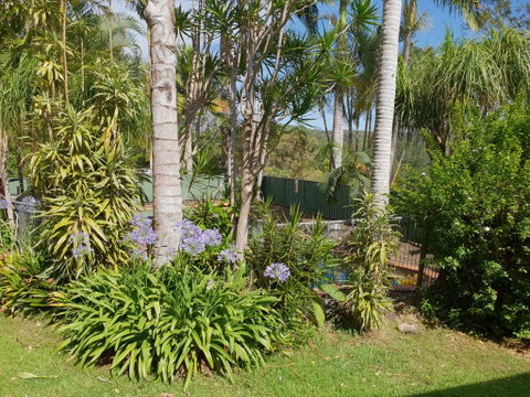 Byron Hinterland Hideaway - Dalby Accommodation 0