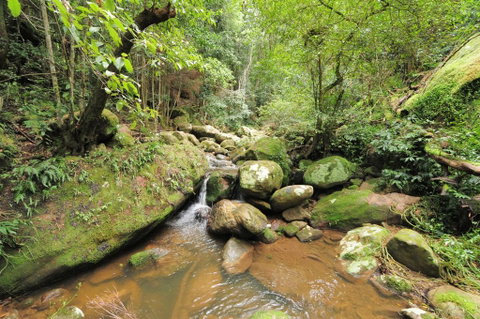 Cabbage Tree Farm - Seclusion And Tranquillity! - Dalby Accommodation 1