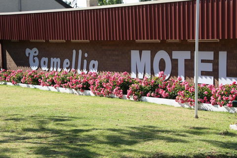 Camellia Motel - Dalby Accommodation 2