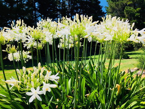 Carawah Ridge - Dalby Accommodation 1