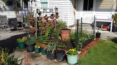 Carisbrook Cottage Queenscliff - Dalby Accommodation 1