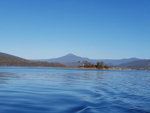 Castaway Cottage - Dalby Accommodation 1