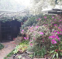 Charming country house close to Grafton - Dalby Accommodation