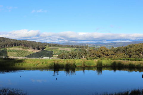 Cherryview Cygnet - Dalby Accommodation 1
