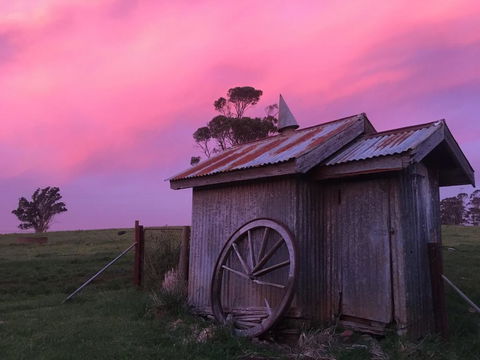 Claremont Farmhouse - Dalby Accommodation 1