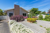 CLOUD NINE - ROSEBUD