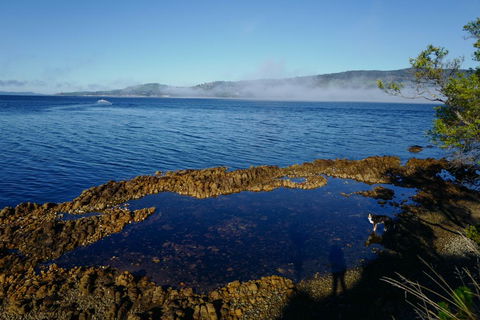 Coast House Tasmania - Dalby Accommodation 2