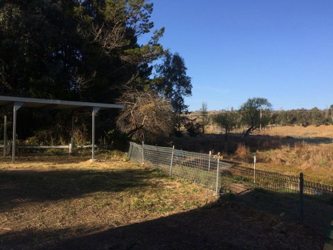 Cockatoo Corner - Armidale - Dalby Accommodation 1