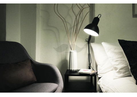 Cosy Home In The Heart Of Sydney - Dalby Accommodation 3