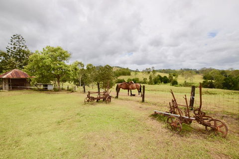 Country Breeze Farm Stay - Dalby Accommodation 2