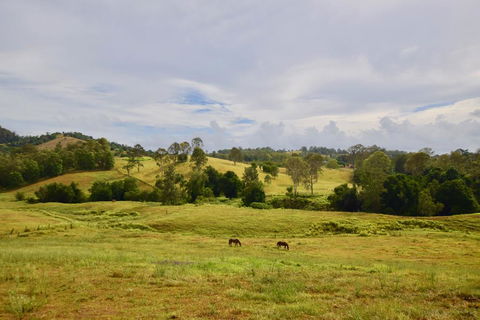 Country Breeze Farm Stay - Dalby Accommodation 0