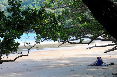 Cow Bay Homestay B&B - Dalby Accommodation 1