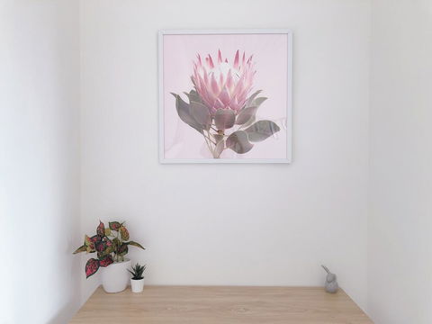 Cozy Private Room In Kingsford Near UNSW, Randwick2 - Dalby Accommodation 2