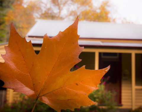 Creek Cottage - Dalby Accommodation 3