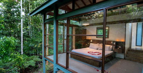 Crystal Creek Rainforest Retreat - Dalby Accommodation 3