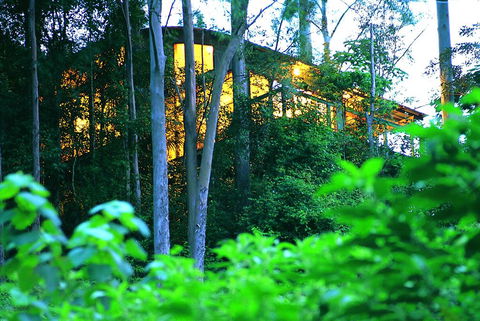 Crystal Creek Rainforest Retreat - Dalby Accommodation 1