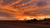 Book Cue Accommodation Vacations Dalby Accommodation Dalby Accommodation