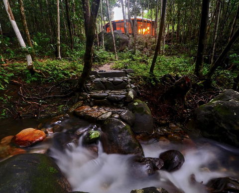 Daintree Cascades - Dalby Accommodation 0
