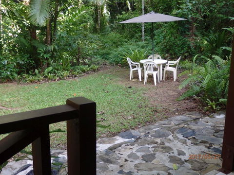 Daintree Deep Forest Lodge - Dalby Accommodation 3