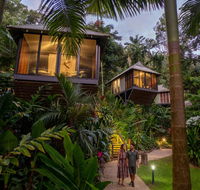 Daintree Ecolodge - Dalby Accommodation
