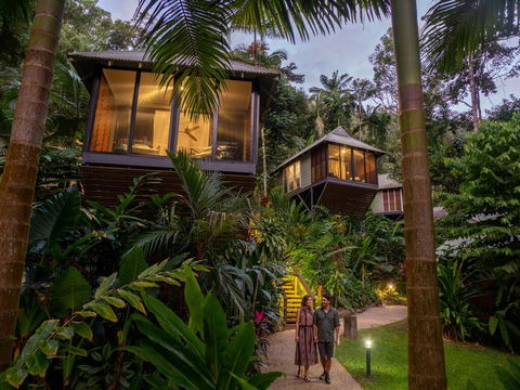 Daintree Ecolodge - Dalby Accommodation 0