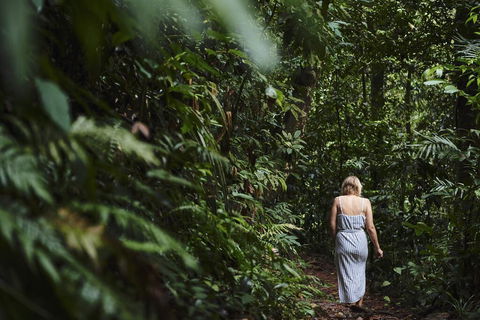 Daintree Ecolodge - Dalby Accommodation 2