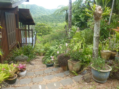Daintree Holiday Homes - The Folly - Dalby Accommodation 0